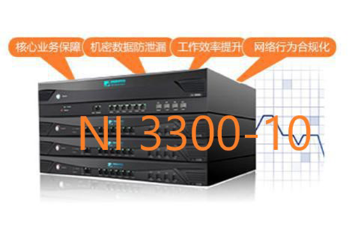 奇安信网康上网行为管理NI3300-10 